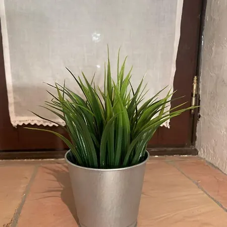 Vivienda Turistica La Caldera